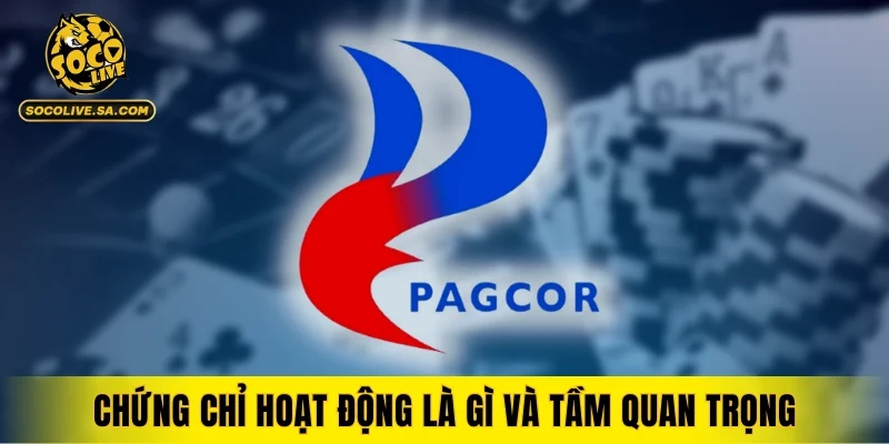 Giải thích chứng chỉ hoạt động là gì và tầm quan trọng