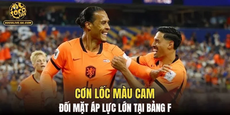 Cơn lốc màu cam đối mặt áp lực lớn tại bảng F