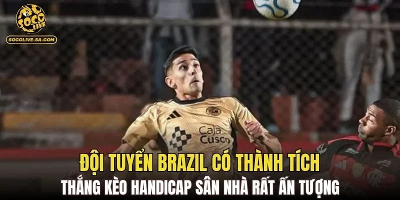 Đội tuyển Brazil có thành tích thắng kèo handicap sân nhà rất ấn tượng