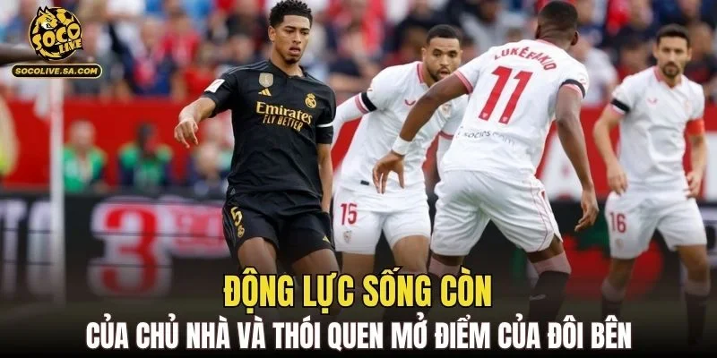 Động lực sống còn của chủ nhà và thói quen mở điểm của đôi bên
