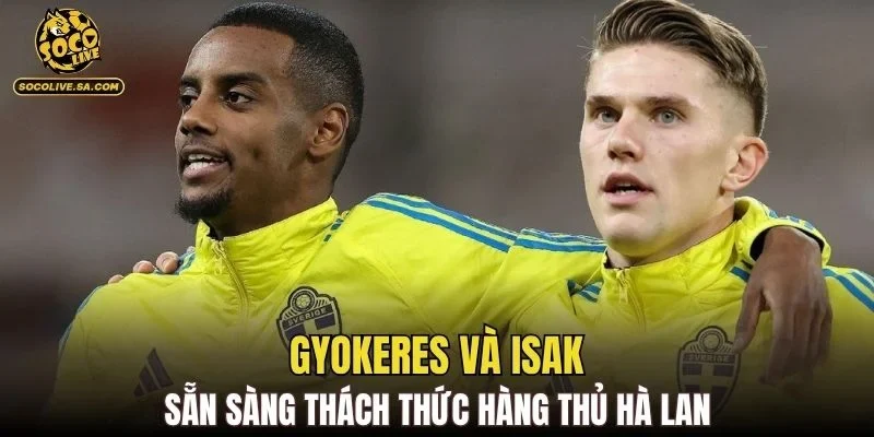 Gyokeres và Isak sẵn sàng thách thức hàng thủ Hà Lan