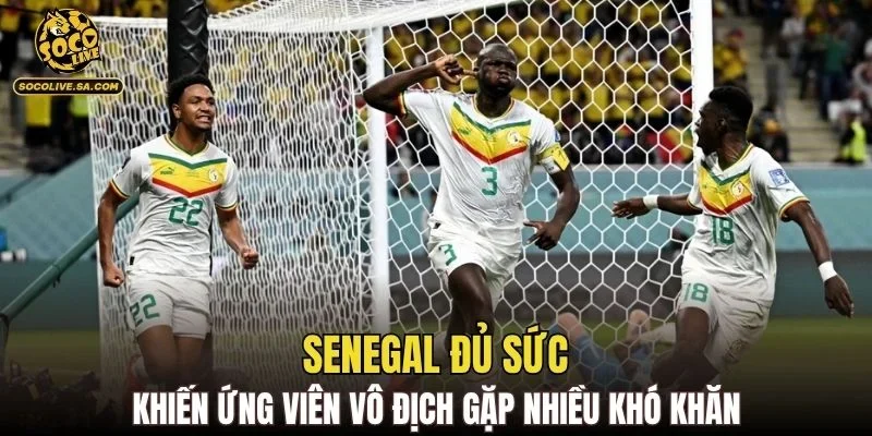 Senegal đủ sức khiến ứng viên vô địch gặp nhiều khó khăn