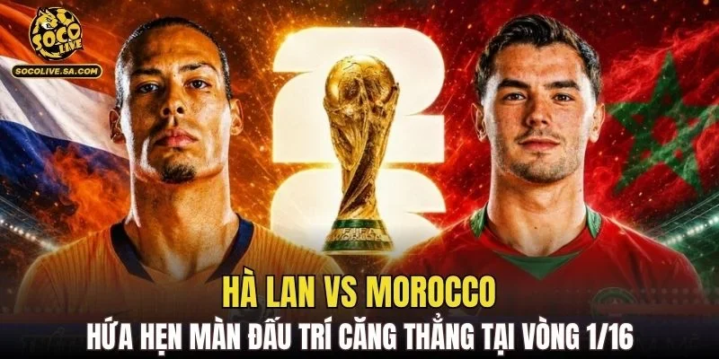 Hà Lan vs Morocco hứa hẹn màn đấu trí căng thẳng tại vòng 1/16