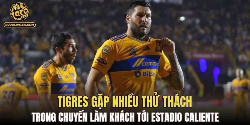 Tigres gặp nhiều thử thách trong chuyến làm khách tới Estadio Caliente