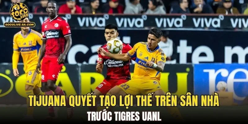 Tijuana quyết tạo lợi thế trên sân nhà trước Tigres UANL